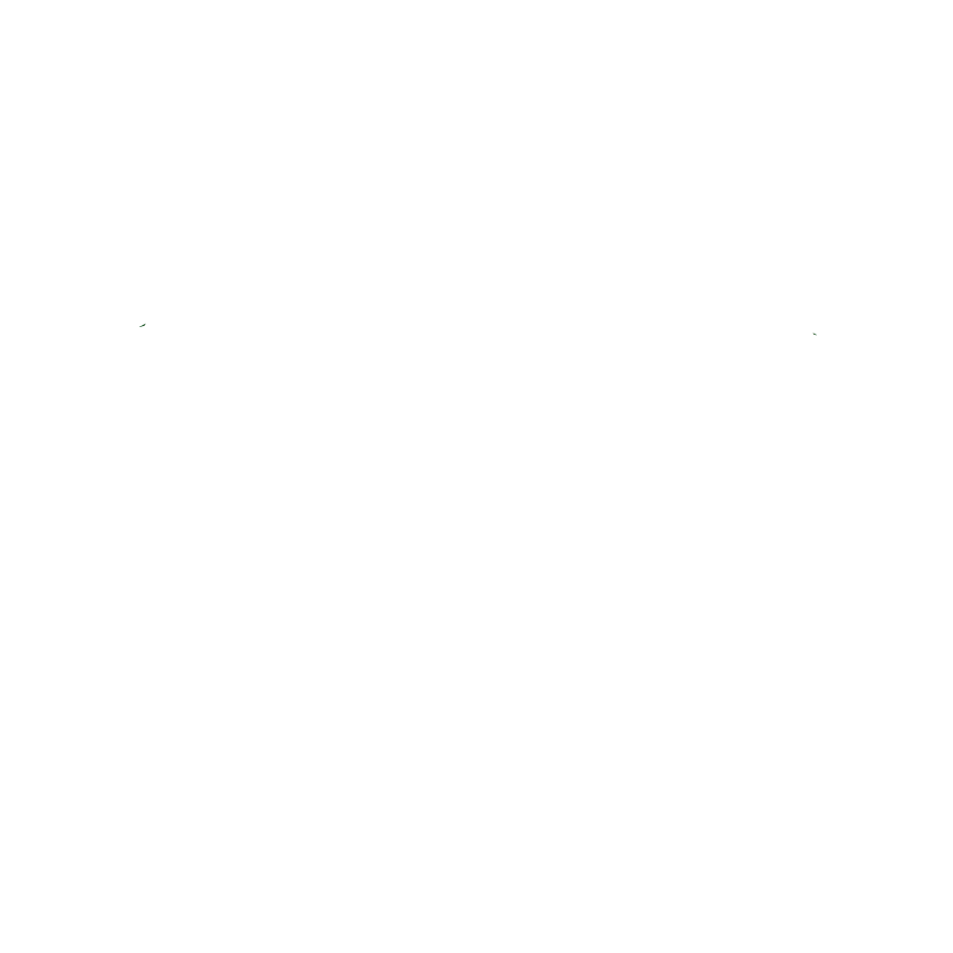 Carrabassett Valley Academy
